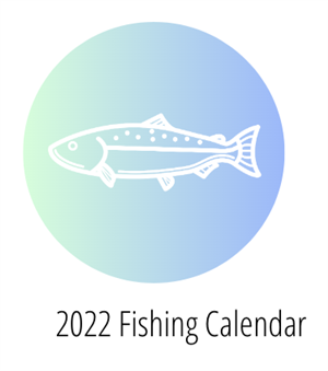2022 Calendar